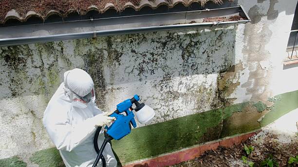 Trusted Attic Mold Removal service in Cochranville, PA - Cheap Mold Removal